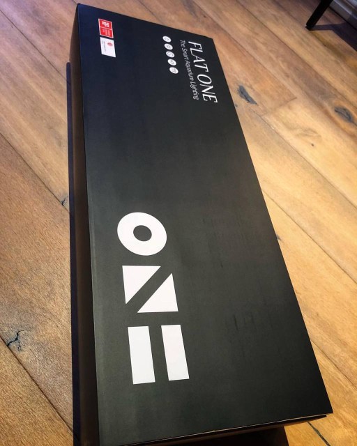 onf flatone light